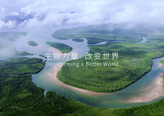 manbet品牌宣传片